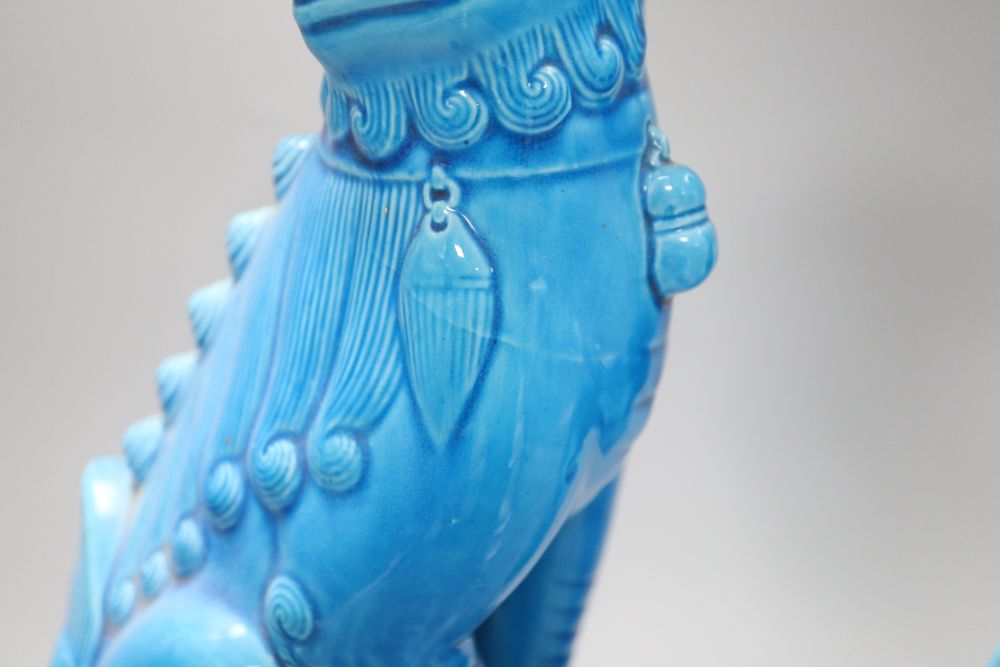 A pair of Chinese turquoise glazed temple dogs, height 36cm and a blanc de chine Kwan Yin